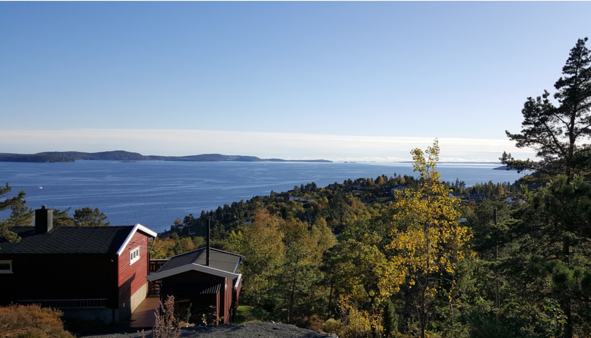 Artikkelbilde til artikkelen  Kanadagullris- Frivillig dugnad 30.08. Kl 1300-15